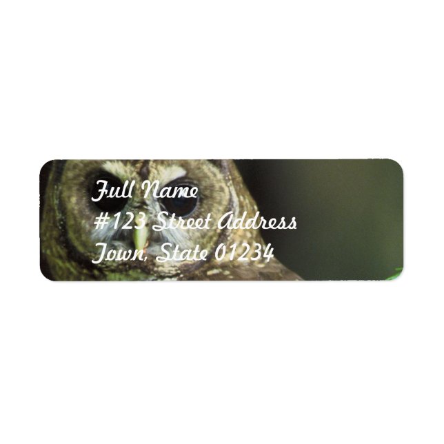 Etiqueta de Correio de Coruja Destacada (Frente)