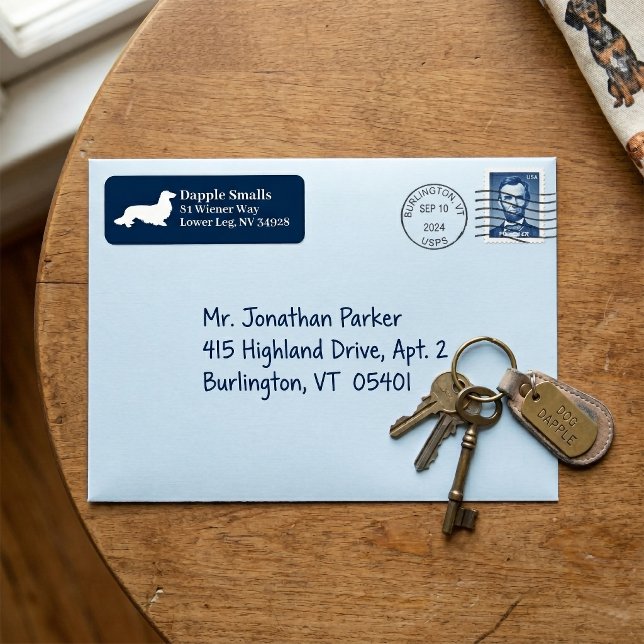 Etiqueta de Endereço Branco do Marinho Dachshund d (Long Hair Dachshund Navy White Address Label)