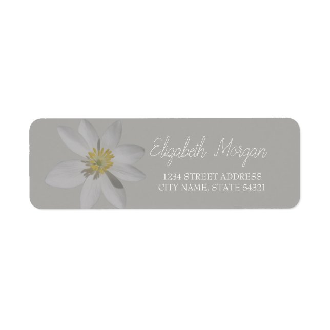 Etiqueta de Endereço Chic Romântico Branco Daisy (Frente)