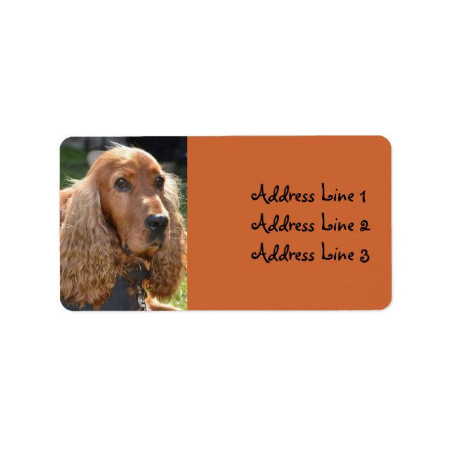 Etiqueta de Endereço com Foto de Cocker Spaniel (Frente)