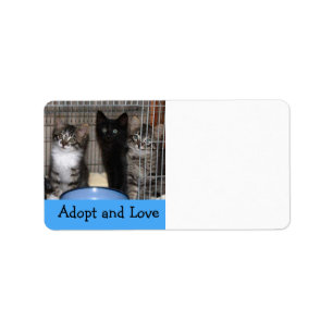 Etiqueta de Endereço de Adoção e Amor de Kitten
