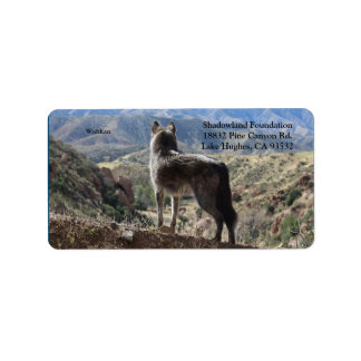 Etiqueta de Endereço de Devolução