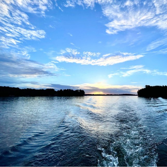 Etiqueta de Endereço de Devolução (Criador carregado)