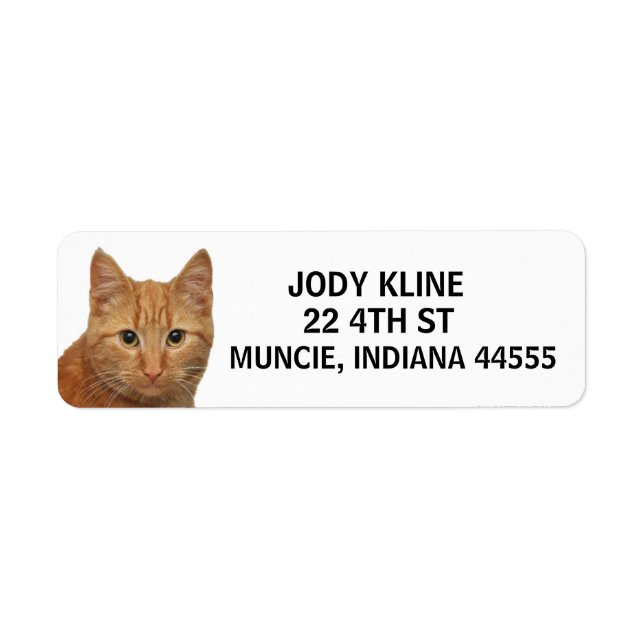 Etiqueta de Endereço de Devolução CAT GINGER (Frente)