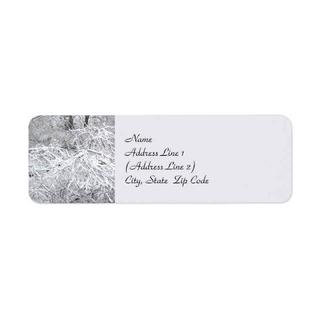 Etiqueta de Endereço de Devolução de Inverno Snowy (Frente)