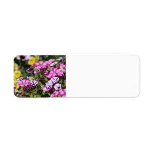 Etiqueta de endereço de petúnia rosa