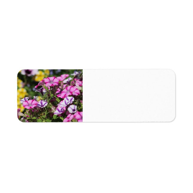 Etiqueta de endereço de petúnia rosa (Frente)