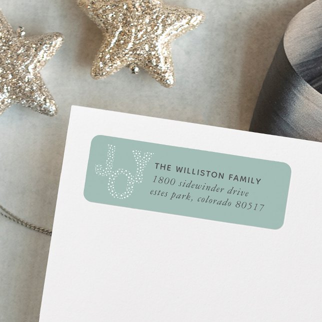 Etiqueta de Endereço de Regresso de Feriado de Joy (Criador carregado)