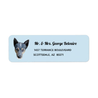 Etiqueta de Endereço de Retorno de Cão Azul / Catt