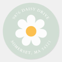 Etiqueta de Endereço de Retorno de Festa de aniver