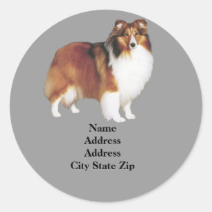 Etiqueta de endereço de Sheltie