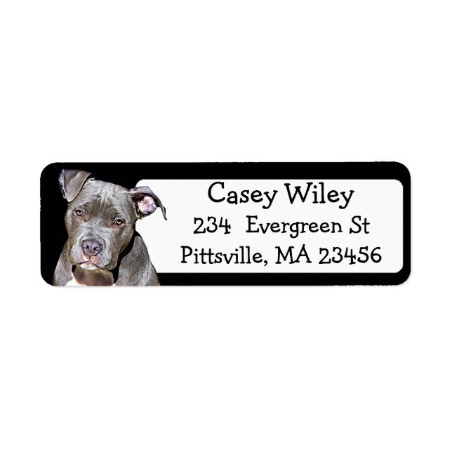 Etiqueta de Endereço do Cão de Pet Pitbull (Frente)