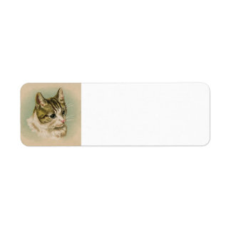 Etiqueta de endereço do Kitten