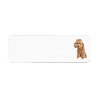 Etiqueta de Endereço do Poodle