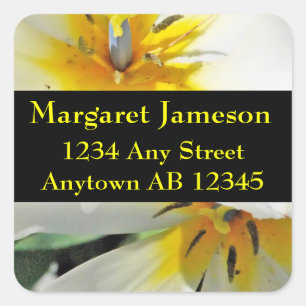 Etiqueta de endereço do remetente branca do