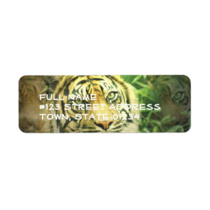 Etiqueta de endereço do remetente do tigre