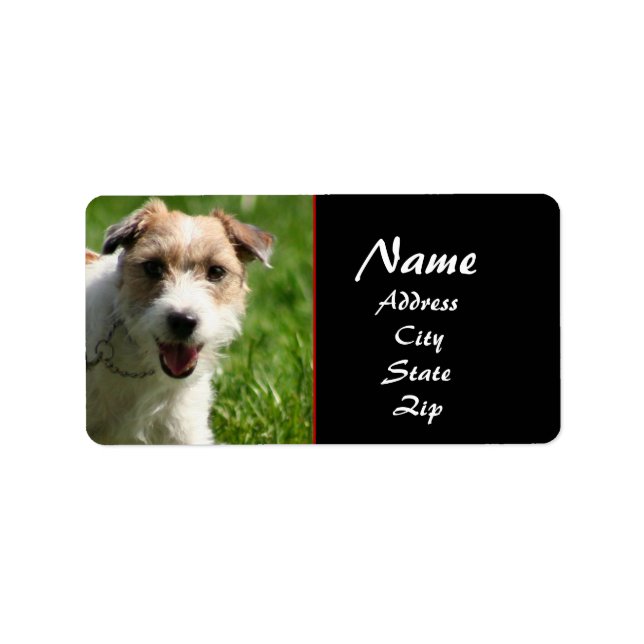 Etiqueta de endereço Jack Russell terrier (Frente)