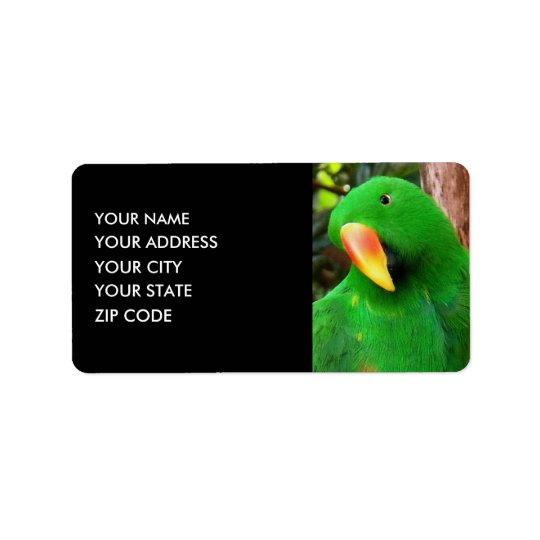 Etiqueta De Endereço "Papagaio de Eclectus do orador verde"
