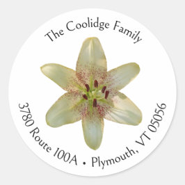 Etiqueta de Endereço Redonda Flor de Lírio Amarelo