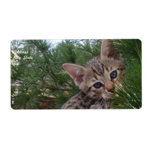 Etiqueta de Entrega de Cat Savannah