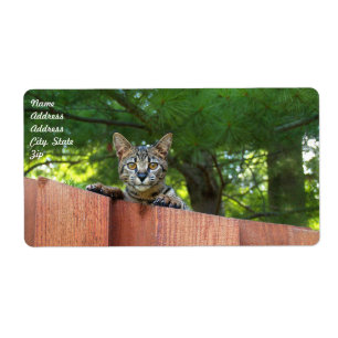 Etiqueta de Entrega de Gato Savannah