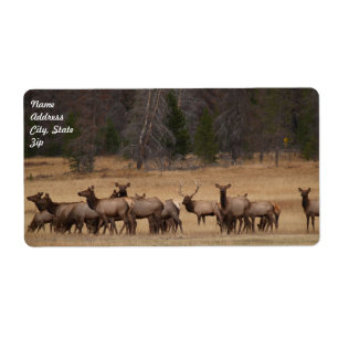 Etiqueta de Entrega do Elk Herd