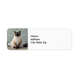 Etiqueta de Foto para Gatos Elegante Siamês