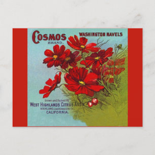 Etiqueta de fruta do Cosmos Washington em Anúncios