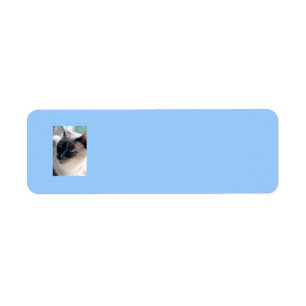 Etiqueta de Gato Siamês