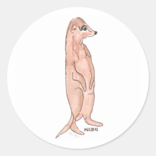 Etiqueta de Meerkat