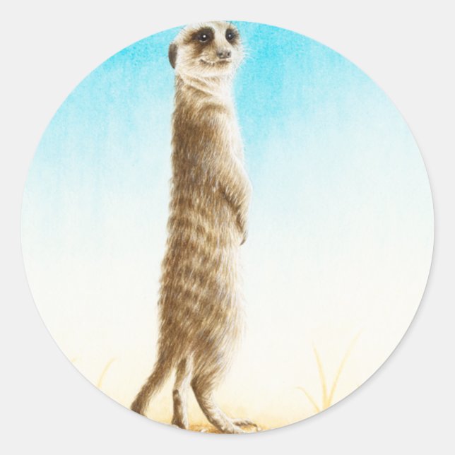 Etiqueta de Meerkat (Frente)