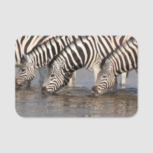 Etiqueta De Nome Bebendo Zebras