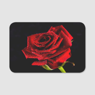 Etiqueta De Nome Bela rosa vermelha