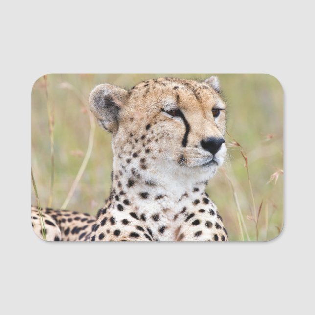 Etiqueta De Nome Cheetah (Frente)