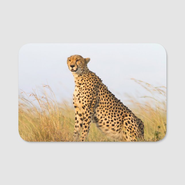 Etiqueta De Nome Cheetah Portrait (Frente)