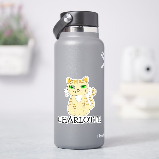 Etiqueta de Nome de Gato Laranja Personalizado (HidroFlask)
