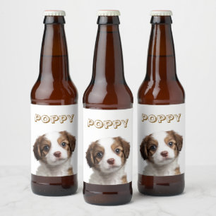 Etiqueta de Nome e Foto do Cão Personalizado