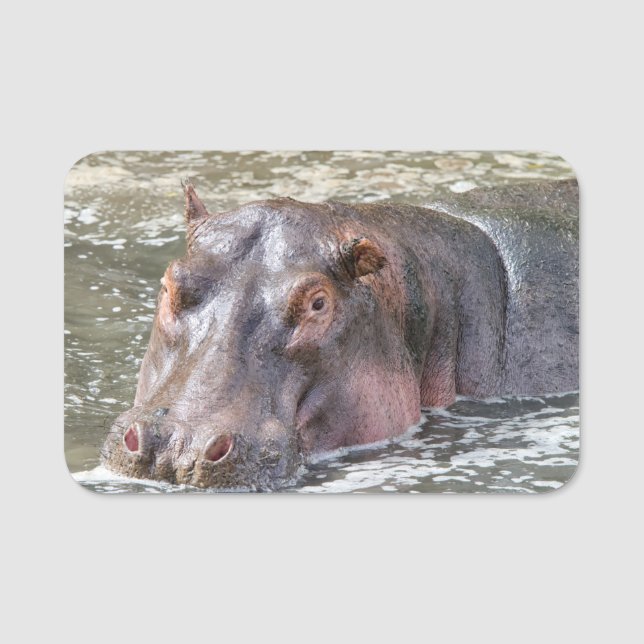 Etiqueta De Nome Feliz Hippo (Frente)