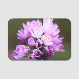 Etiqueta De Nome Flor selvagem