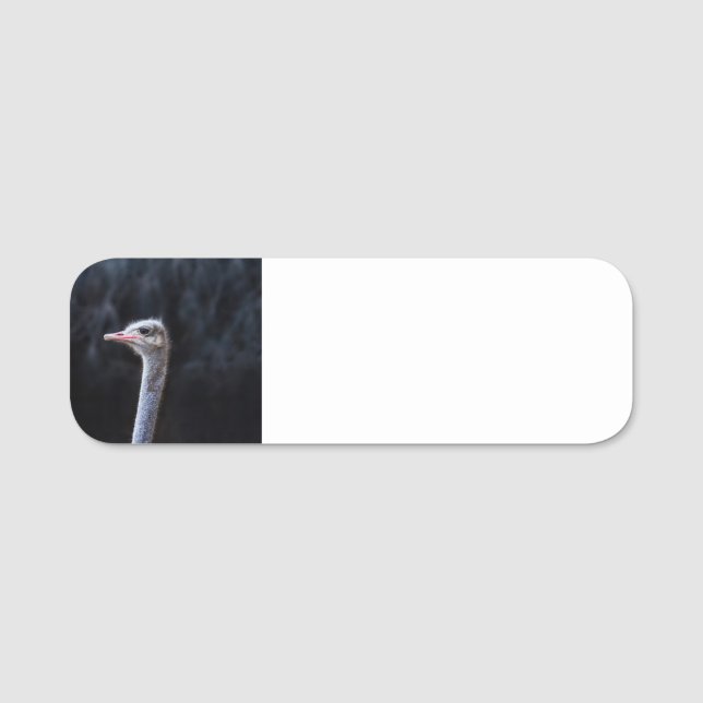 Etiqueta De Nome retrato de avestruz (Frente)
