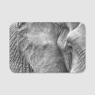 Etiqueta De Nome The eye of an elephant