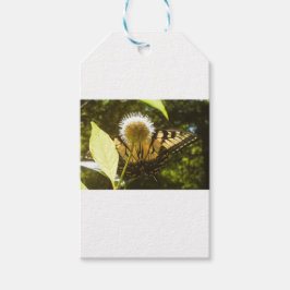 Etiqueta de Presente da Flor Monarca de Junho