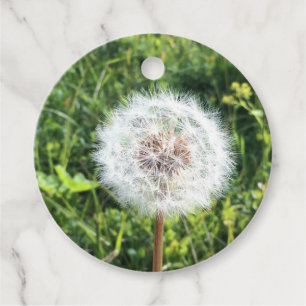 Etiqueta de presente Dandelion
