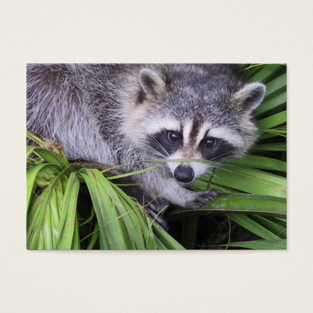 Etiqueta de Presente de Aniversário Feliz (Frente)