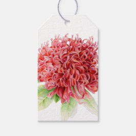 Etiqueta de presente de flor de waratah vermelha