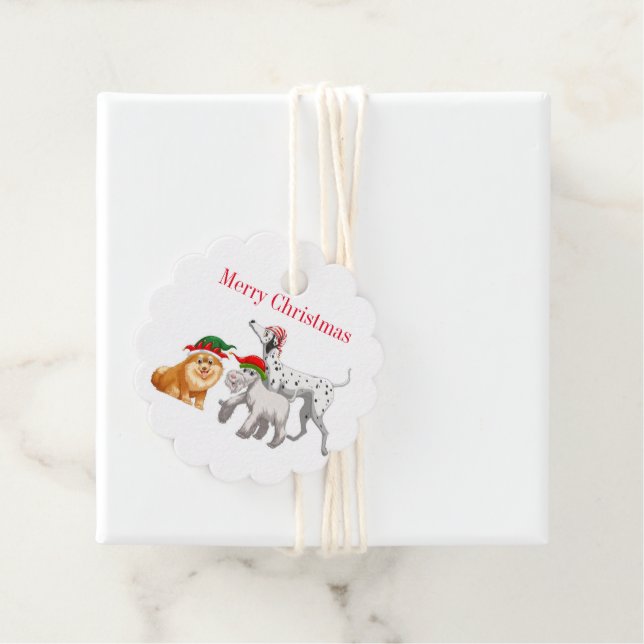 Etiqueta de presente de Natal (In Situ)