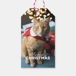 Etiqueta de presente para gatos de Natal