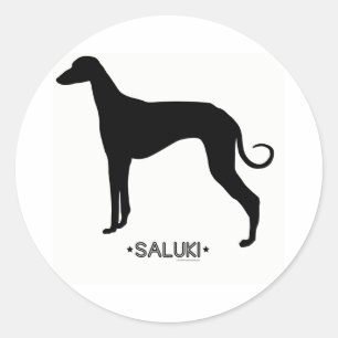 Etiqueta de Saluki
