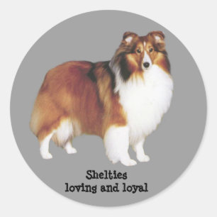 Etiqueta de Sheltie