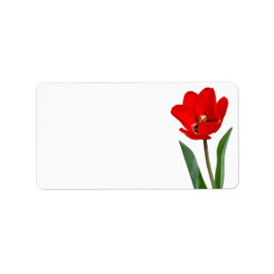 Etiqueta de Tulip
